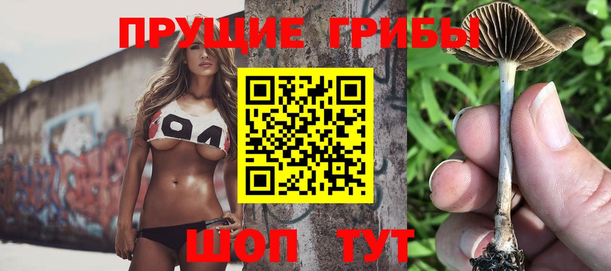 Галлюциногенные грибы Psilocybine cubensis Сердобск