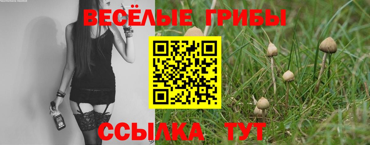 Галлюциногенные грибы Magic Shrooms  Галлюциногенные грибы Cubensis  Сердобск  продажа наркотиков  Вход с VPN 